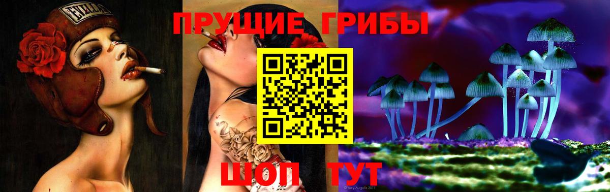 Старая Купавна  Псилоцибиновые грибы Psilocybine cubensis  Вход с VPN 